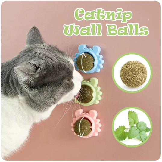 Catnip Balls Packed with Catnip edible treats