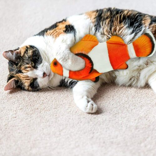 Catnip Fish Kicker - Nemo Clown Fish
