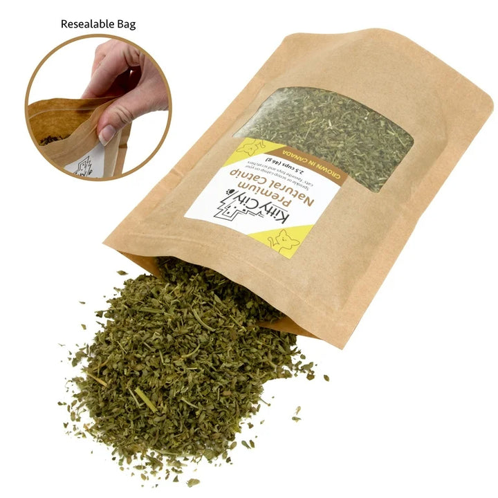 Is Sprinkling Catnip on Cat Food a Good Idea?