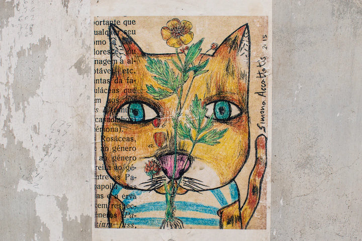 Understanding Catnip Sensitivity Why Some Cats Don't Respond