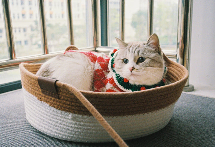 Comfortable Catnip Accessories for Feline Relaxation