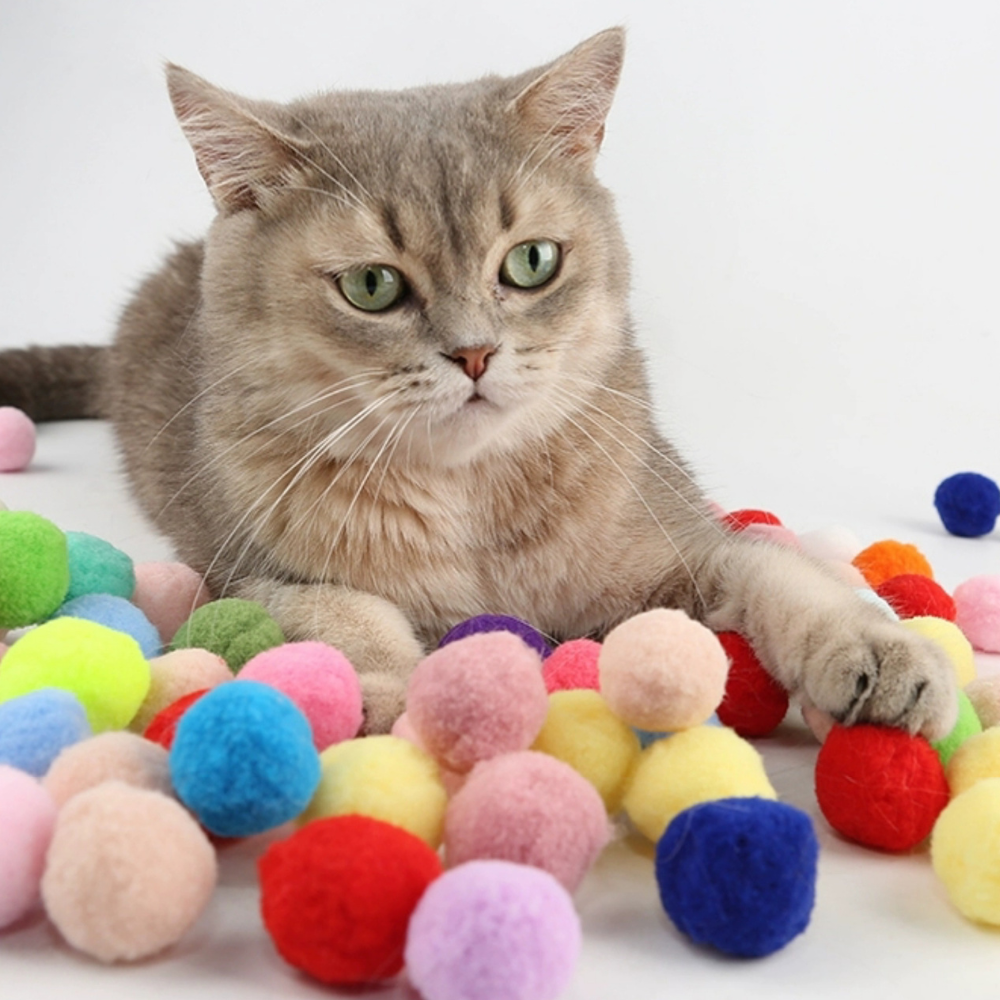 Plush Ball Toy Launcher