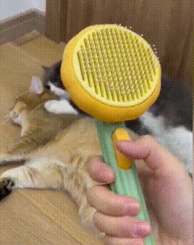 Purr-fect Pet Brush