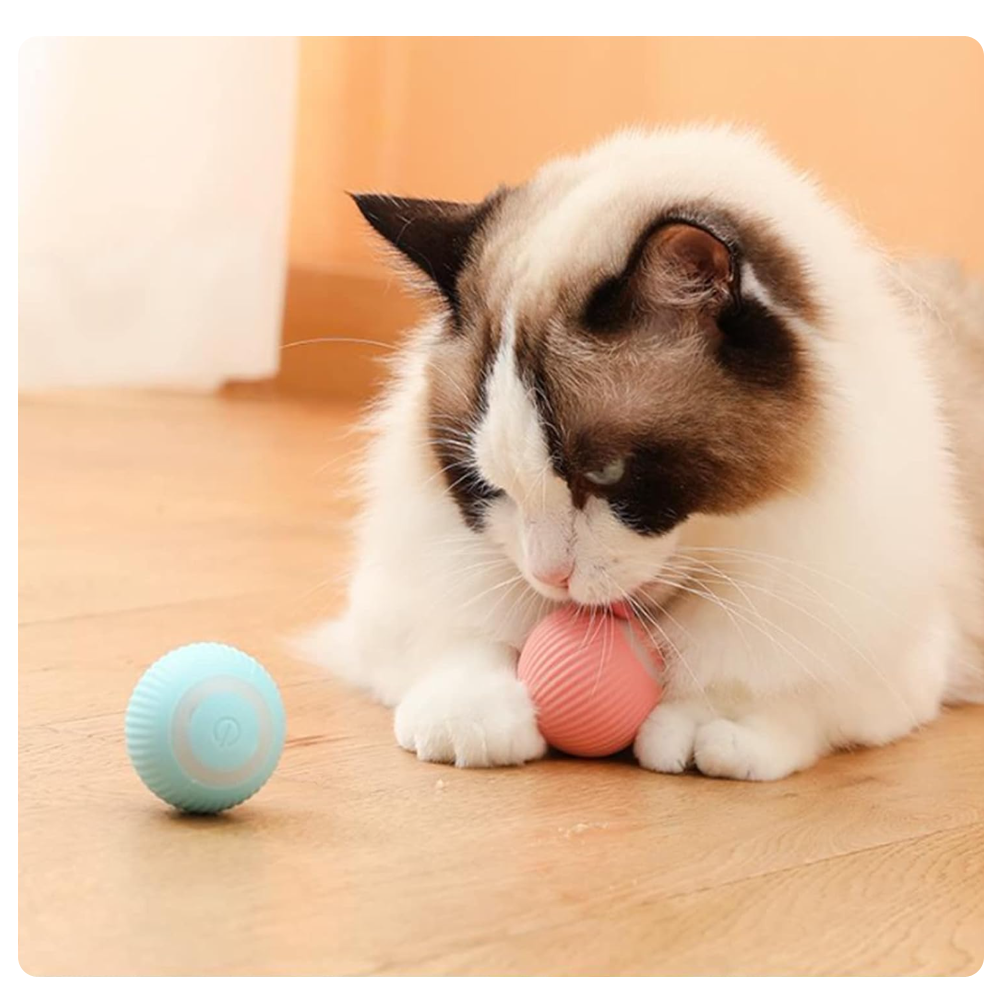 USB Cat Ball (Self-Moving)