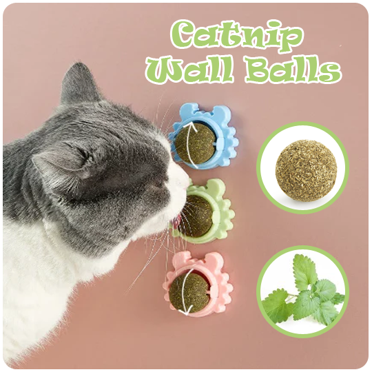 Catnip Wall Ball