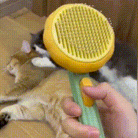 Purr-fect Pet Brush