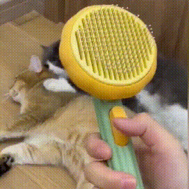 Purr-fect Pet Brush