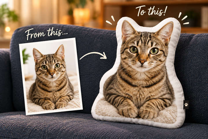 A photo of a tabby cat turned into a custom cat shaped pillow on a couch