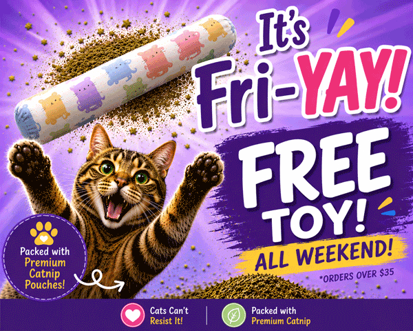 Free Toy FRI-DAY</br>Choose Below