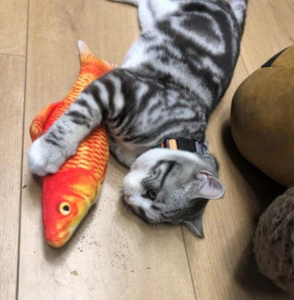 Catnip Fish Kickers