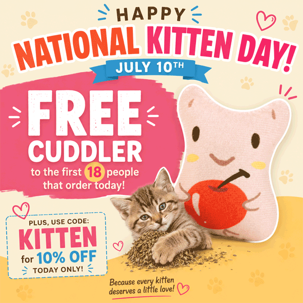 Celebrate National Kitten Day