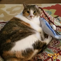 Plush Catnip Fish Kickers