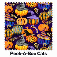 Peek a Boo Cats