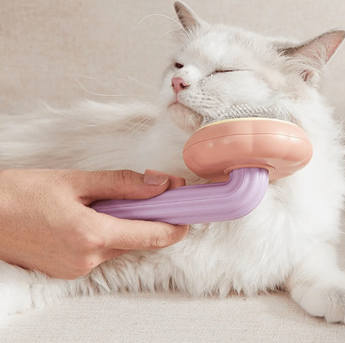 Purr-fect Pet Brush