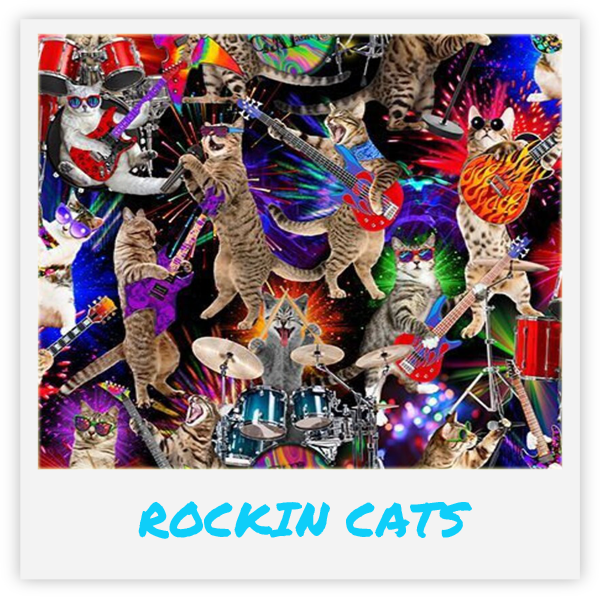 15" Kick Stix – (2 Pack)