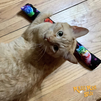 Sample Pack (3 Sizes)