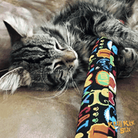 Sample Pack (3 Sizes)