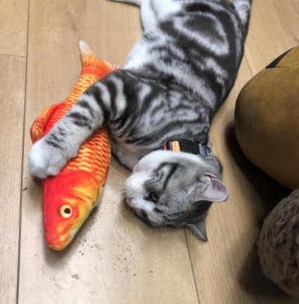 Catnip Fish Kicker - Gold Fish