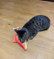 Catnip Fish Kickers (Clearance)