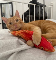 Catnip Fish Kickers (Clearance)