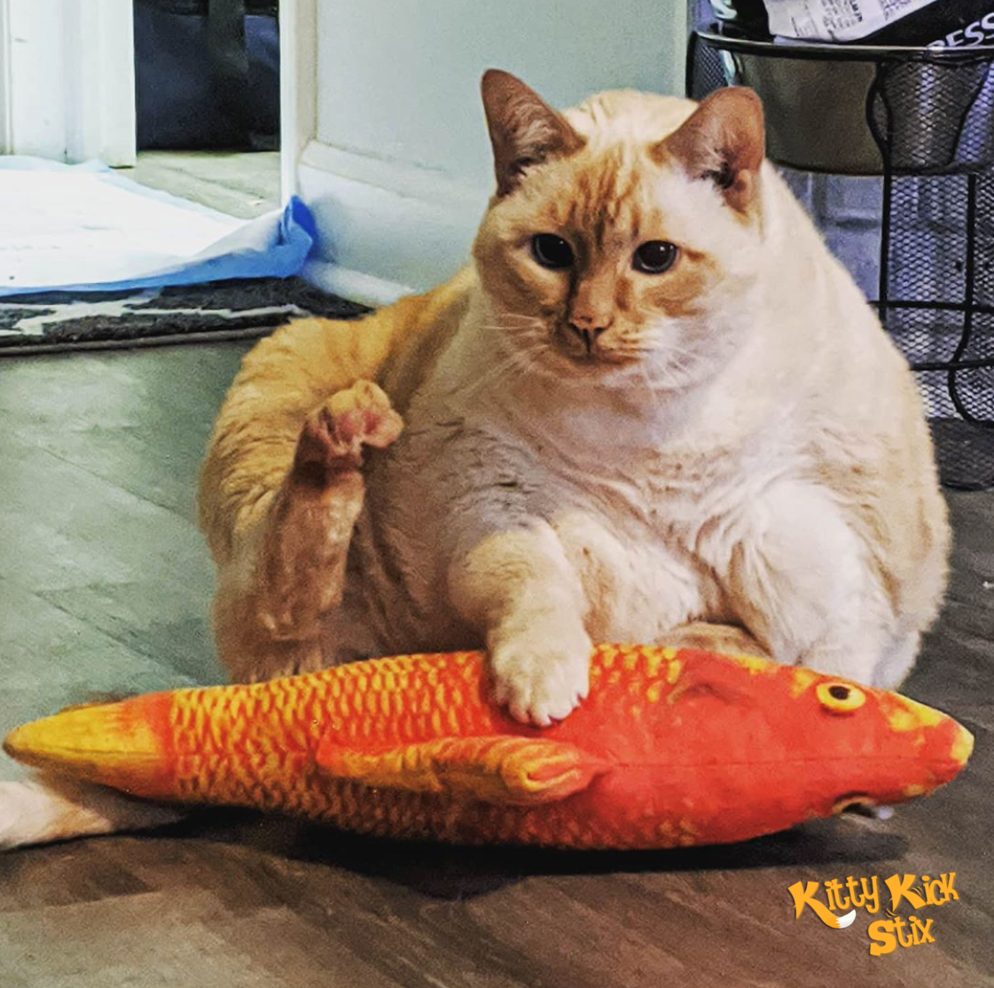 Catnip Fish Kicker - Gold Fish