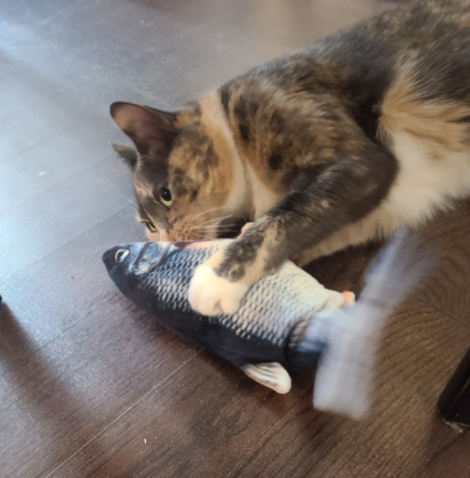 Catnip Fish Kicker - Salmon