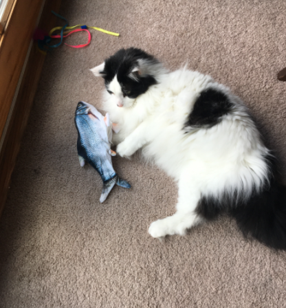 Catnip Fish Kicker - Salmon