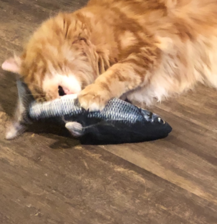 Catnip Fish Kicker - Salmon